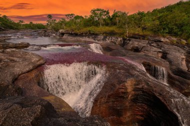 Kolombiya 'daki gökkuşağı nehri ya da beş renk nehri en güzel doğa yerlerinden biridir, adı Kristal Kanyon' dur.