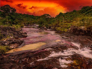 Kolombiya 'daki gökkuşağı nehri ya da beş renk nehri en güzel doğa yerlerinden biridir, adı Kristal Kanyon' dur.