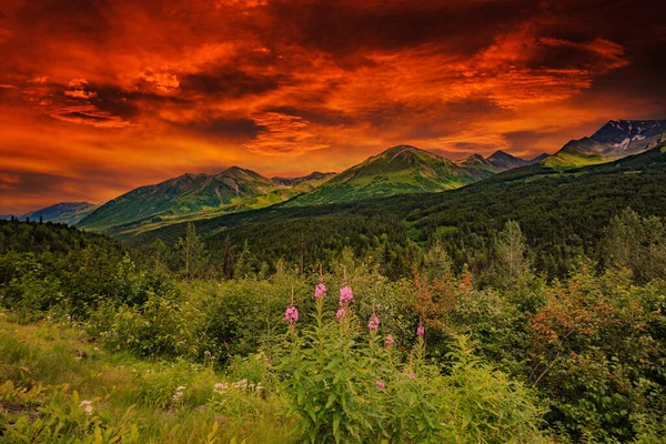 Malebné Aljašské Hory Létě Sněhem Pokryté Masivy Ledovce Skalnaté Štíty — Stock fotografie