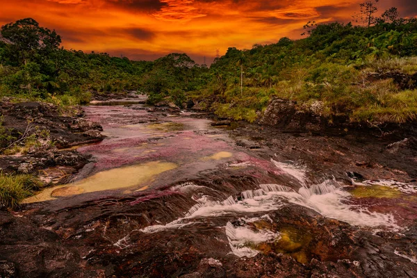 Rainbow River Five Colors River Colombia One Most Beautiful Nature — Stock Photo, Image