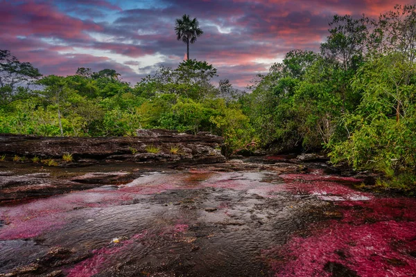 Kolombiya 'daki gökkuşağı nehri ya da beş renk nehri en güzel doğa yerlerinden biridir, adı Kristal Kanyon' dur.
