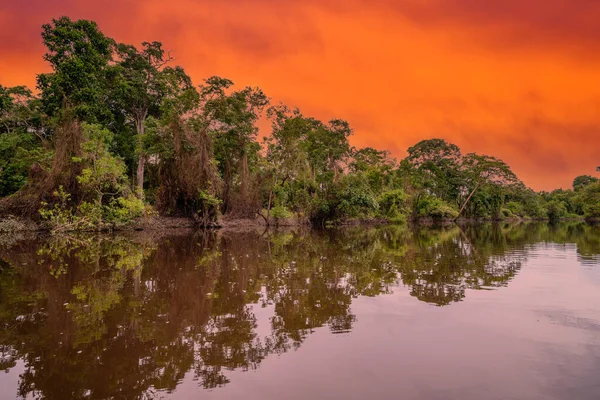 Amazon yağmur ormanları mükemmel ve güneşli bir günde