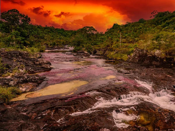 Kolombiya 'daki gökkuşağı nehri ya da beş renk nehri en güzel doğa yerlerinden biridir, adı Kristal Kanyon' dur.
