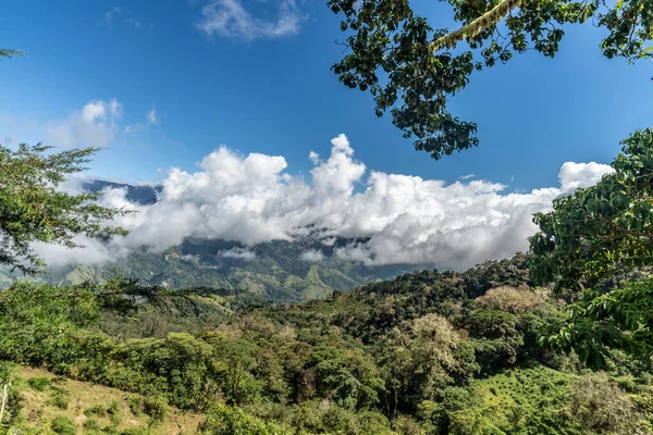 beautiful rainforest in costa rica south america.