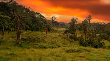 Kosta Rika 'nın güzel manzarası, yağmur ormanları, dağlar, nehirler ve şelaleler.