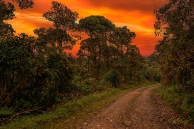 Kosta Rika 'nın güzel manzarası, yağmur ormanları, dağlar, nehirler ve şelaleler.