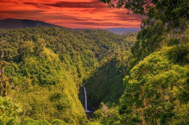 Kosta Rika 'da Yağmur Ormanı Mavi Şelale