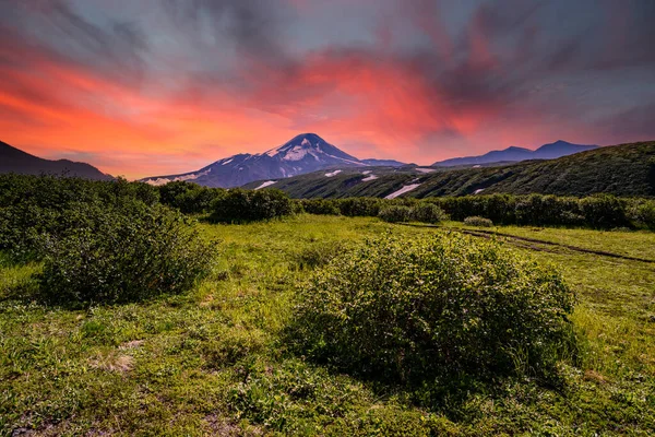 Vista Panorámica Ciudad Petropavlovsk Kamchatsky Volcanes Volcán Koryaksky Volcán Avacha — Foto de Stock