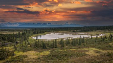 Alaska Denali Ulusal Parkı 'ndaki Alaska sıradağlarının manzarası