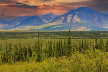 Alaska Denali Ulusal Parkı 'ndaki Alaska sıradağlarının manzarası