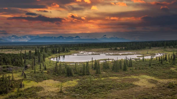 Blick Auf Die Alaska Gebirgskette Denali Nationalpark Alaska — Stockfoto