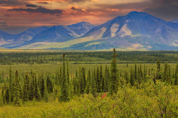 Alaska Denali Ulusal Parkı 'ndaki Alaska sıradağlarının manzarası