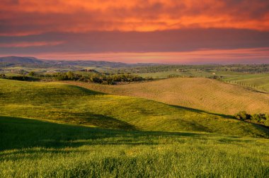 Toskana baharı, yuvarlanan tepeler ve gün batımında yel değirmeni. Kırsal alan. Yeşil alanlar. İtalya, Avrupa