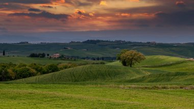 Toskana baharı, yuvarlanan tepeler ve gün batımında yel değirmeni. Kırsal alan. Yeşil alanlar. İtalya, Avrupa