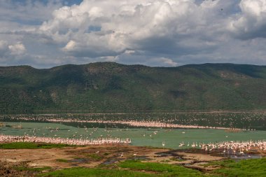 beautiful sunset over the lakes of Baringo with pink flamingos in the foreground