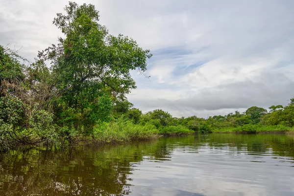 Orta Amerika 'daki Kosta Rika' nın Karayip kıyıları boyunca uzanan tropikal yağmur ormanlarıyla Tortuguero Ulusal Parkı 'ndaki kanal..