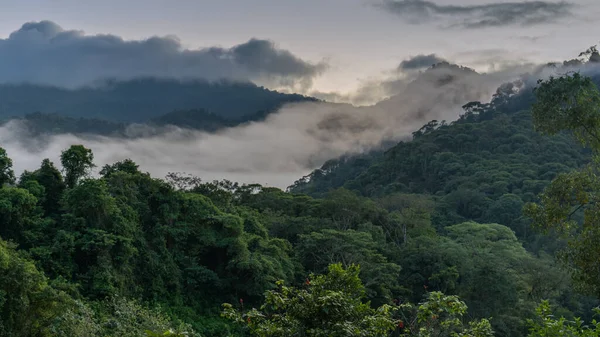 Orta Amerika Daki Kosta Rika Nın Karayip Kıyıları Boyunca Uzanan — Stok fotoğraf