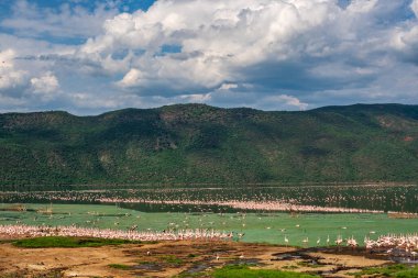 The USA Southwest Arches National Parks are located in eastern Utah, north of the city of Moab in the United States. Its area is 