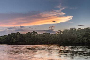 Amazon Yağmur Ormanları Havzası 'ndaki bir lagünün günbatımının yansıması. Amazon nehir havzası Brezilya, Bolivya, Kolombiya, Ekvador, Guyana, Surinam, Peru ve Venezuela ülkelerinden oluşur.
