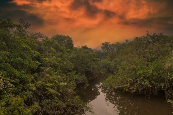 Amazon Yağmur Ormanları Havzası Ndaki Bir Lagünün Günbatımının Yansıması Amazon — Stok fotoğraf