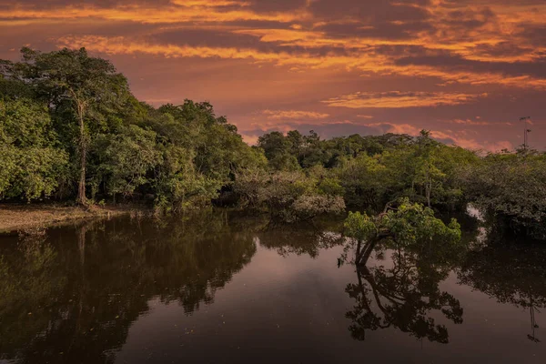 Amazon Yağmur Ormanları Havzası Ndaki Bir Lagünün Günbatımının Yansıması Amazon — Stok fotoğraf