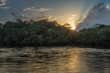 Amazon Yağmur Ormanları Havzası 'ndaki bir lagünün günbatımının yansıması. Amazon nehir havzası Brezilya, Bolivya, Kolombiya, Ekvador, Guyana, Surinam, Peru ve Venezuela ülkelerinden oluşur.