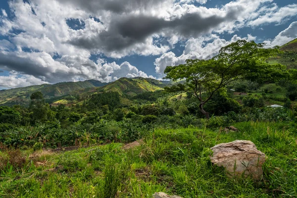 Gyönyörű Táj Uganda Délnyugati Részén Bwindi Áthatolhatatlan Nemzeti Parkban Uganda — Stock Fotó