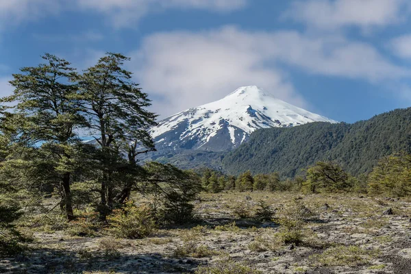 Volcano Osorno Viewpoints Blue Water Cabulco Villarica Chile Volcan Thaw — Stockfoto