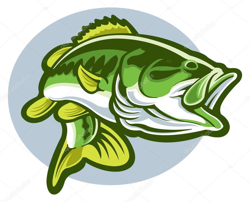 Largemouth bass Stock Vector by ©SlipFloat 20592377
