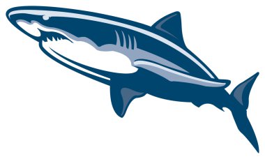 Büyük beyaz köpekbalığı