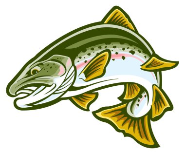 Rainbow trout clipart