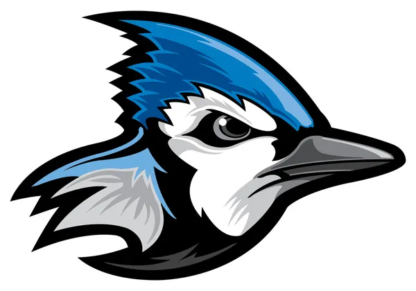 Blue jay — Stockvector