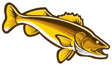 Walleye clipart