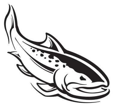 Rainbow trout clipart