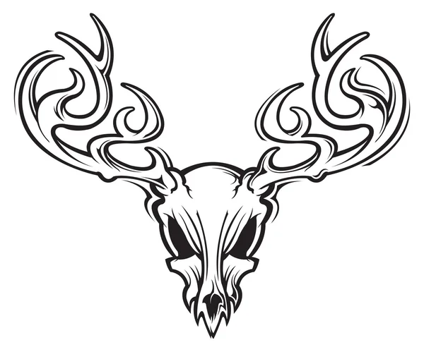 Deer skull — Stock Vector