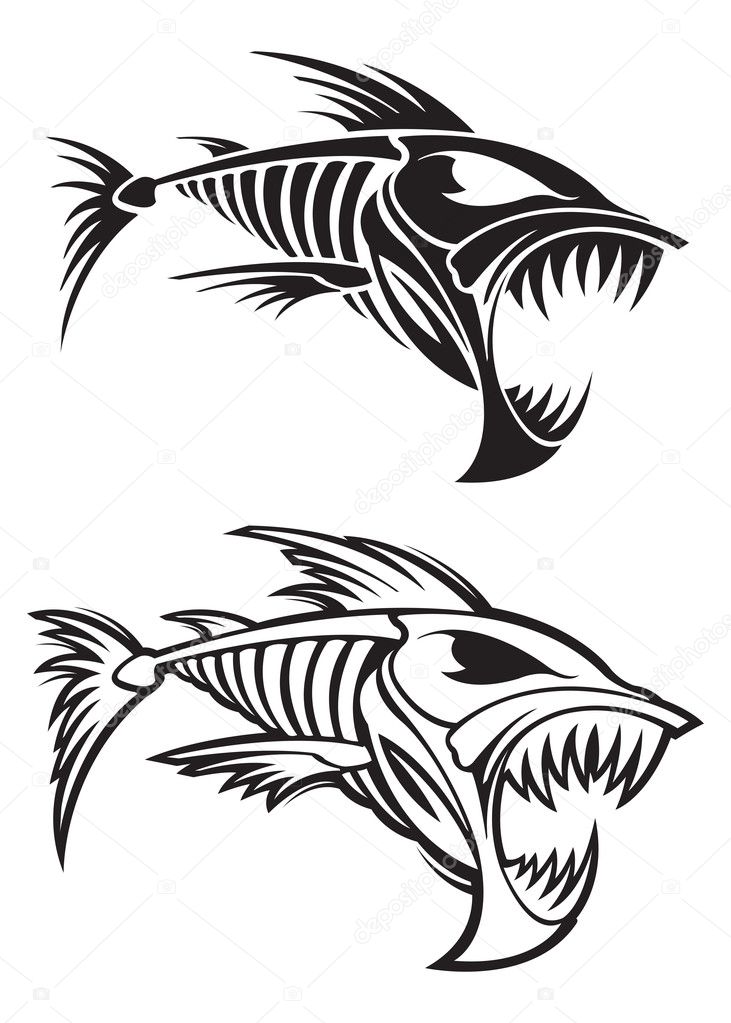 Download Fish Skeleton — Stock Vector © SlipFloat #21840597