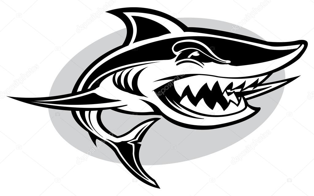 Download Great White Shark — Stock Vector © SlipFloat #22052303
