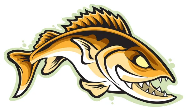walleye