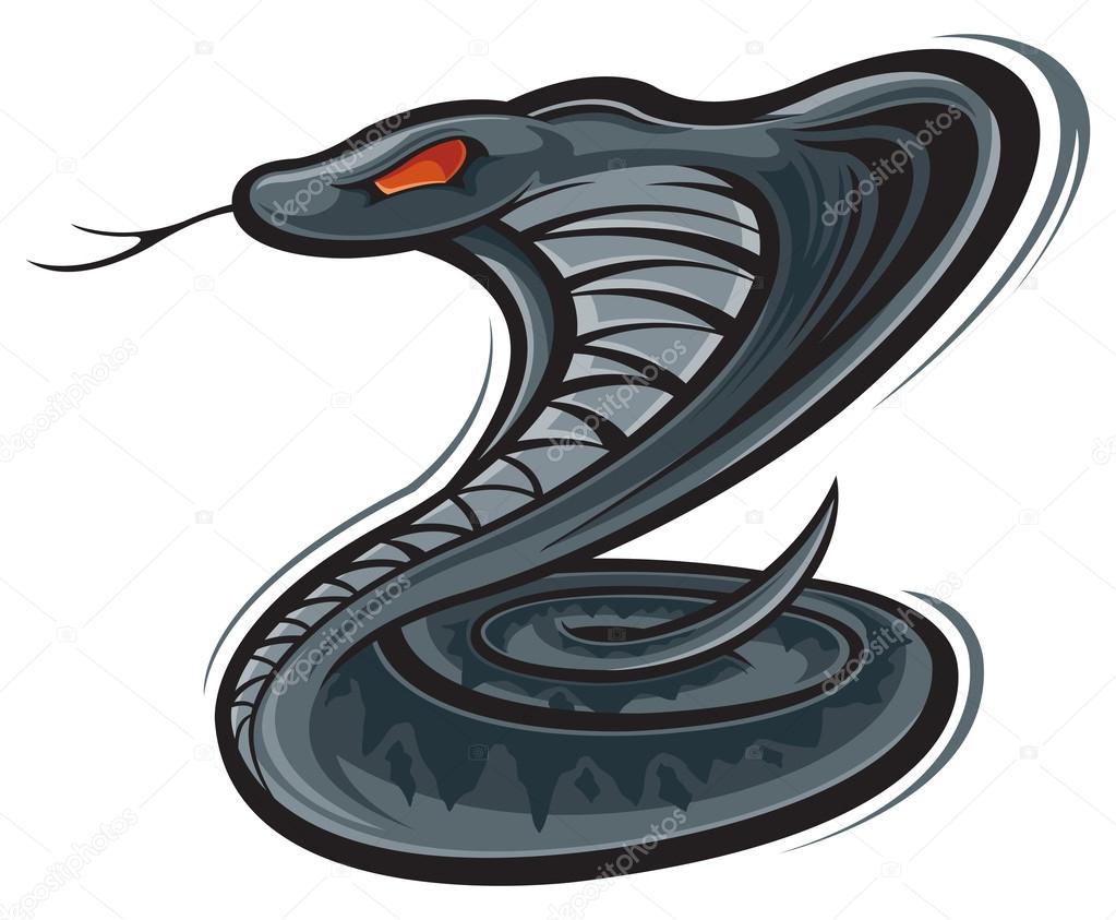 Cobra illustration