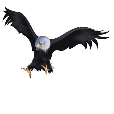 eagle01
