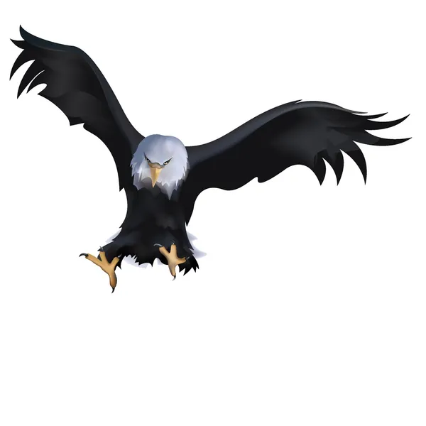 eagle01