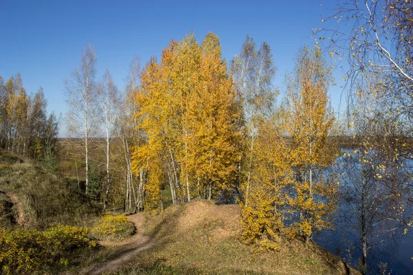 Autumn005