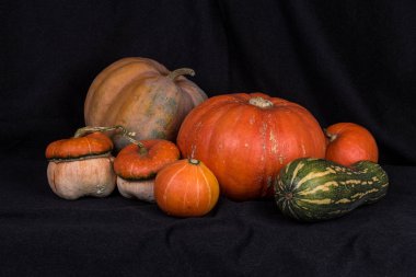 Pumpkins003
