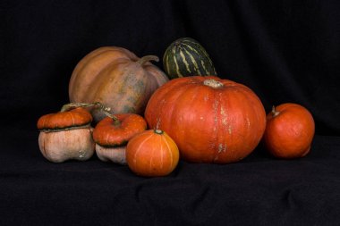 Pumpkins002