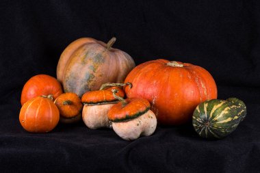 Pumpkins001