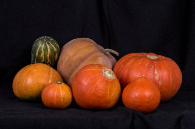 Pumpkins004
