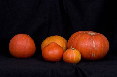 Pumpkins008