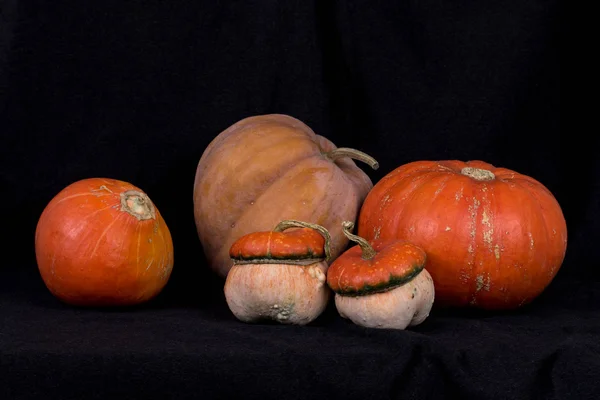 Pumpkins005 — Stock fotografie