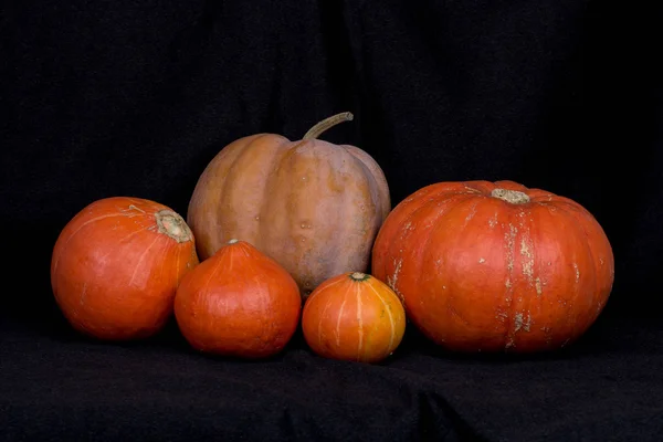 Pumpkins007 — Stock fotografie