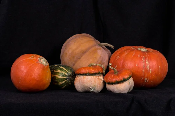 Pumpkins006 — Stock fotografie